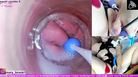 MaryBrook1 webcam stripchat model stream image