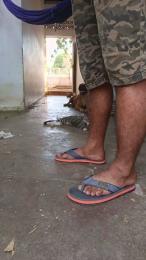 MONSTER777DADDY webcam cam4 model stream image