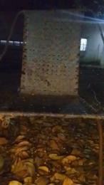 MONSTER777DADDY webcam cam4 model stream image