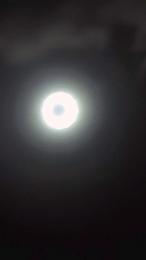 Ismael993 webcam model stream image