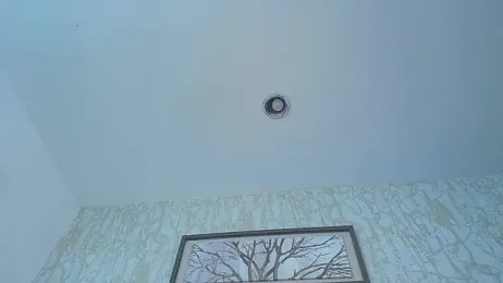 Lander_Cruz webcam model stream image