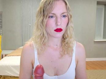 Visbee webcam model stream image