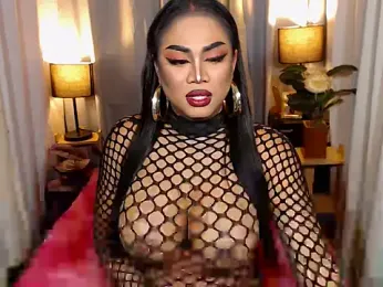 TRANSLUNAA webcam model stream image