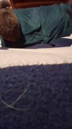 teddy2008 webcam model stream image