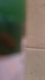 Orazioberretti webcam model stream image