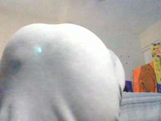 dayesweets webcam model stream image