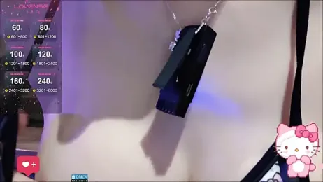 fog- webcam model stream image