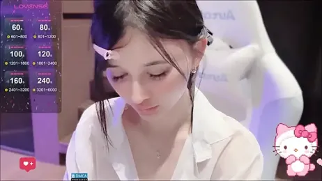 fog- webcam model stream image