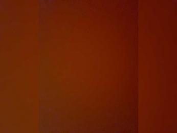 Olyd webcam model stream image