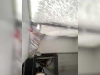 Olyd webcam bongacams model stream image