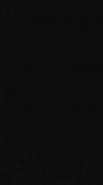 negro946 webcam model stream image