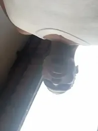 BlueIceCube webcam model stream image