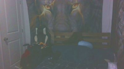 boost2469 webcam model stream image