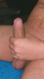 Pinguino08 webcam cam4 model stream image