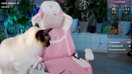 cutelittlepuff webcam model stream image