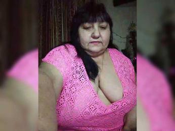 Nezsbudka webcam model stream image