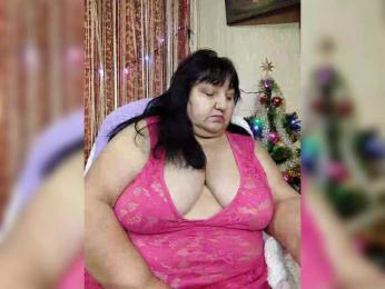 Nezsbudka webcam model stream image