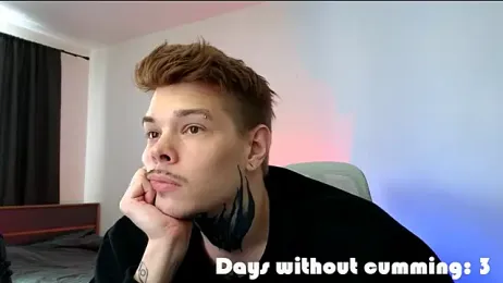 DENIS_HERE webcam model stream image