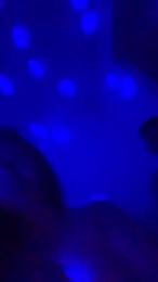 CeciTin webcam model stream image