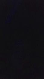 Pupamarty webcam model stream image