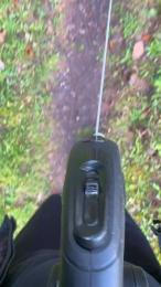 pimmel51 webcam model stream image