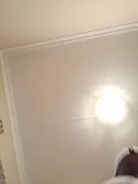 dickdiddy2 webcam model stream image