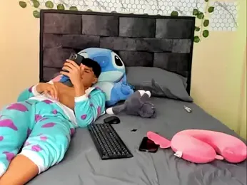 Stiben_coll12 webcam model stream image