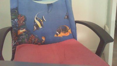 laparki webcam model stream image