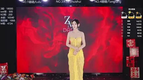 SK-001 webcam model stream image