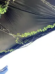 3littleschoolteens webcam model stream image