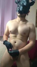 FerdinandDeluxe webcam model stream image