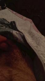 davidof3127 webcam cam4 model stream image