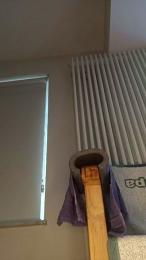 XXLDildoRider webcam model stream image