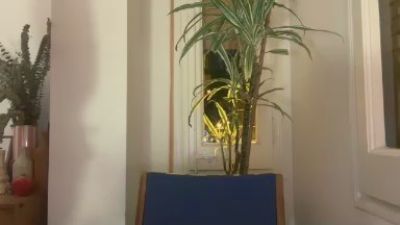 beanbcn webcam cam4 model stream image