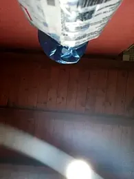 CurlyElisa webcam model stream image