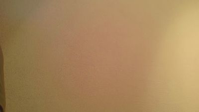 Evaveneto webcam model stream image