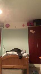 Bull4fun1 webcam model stream image