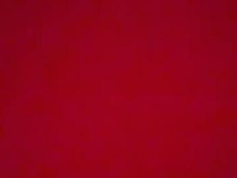 haleysloan webcam model stream image
