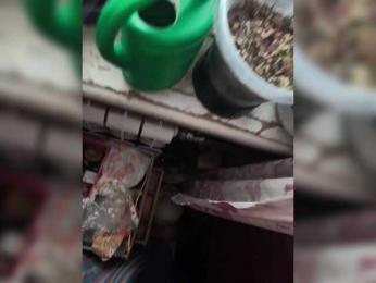 Frummi webcam model stream image