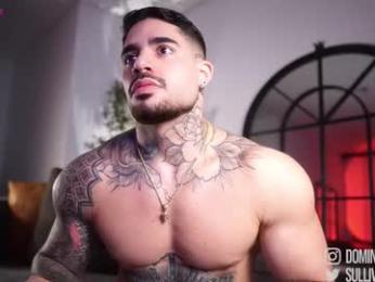 dominic_sullivan1 webcam chaturbate model stream image