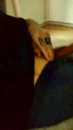 hartdickleon webcam model stream image