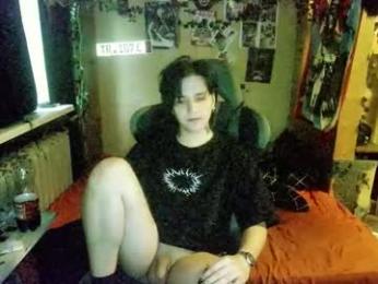 panther_cap webcam model stream image