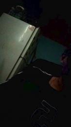 Vista previa de galgomrn4