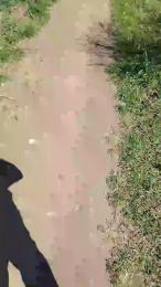 Jop666 webcam model stream image