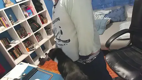 ravingr4d4 webcam model stream image