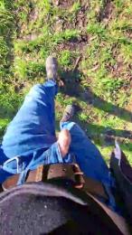 Gym2 webcam cam4 model stream image