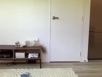 mollyy2006 webcam model stream image