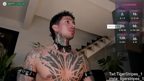 TigerStripes1_ webcam model stream image