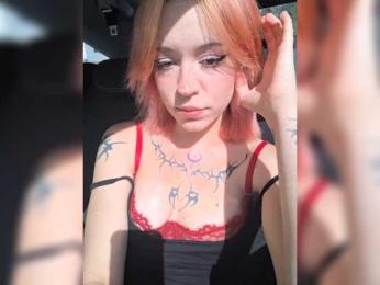 Ari-Piika webcam model stream image