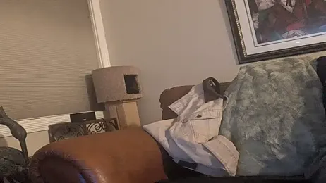 publicfun206xxx webcam stripchat model stream image